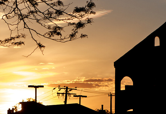 Long Beach Silhouette